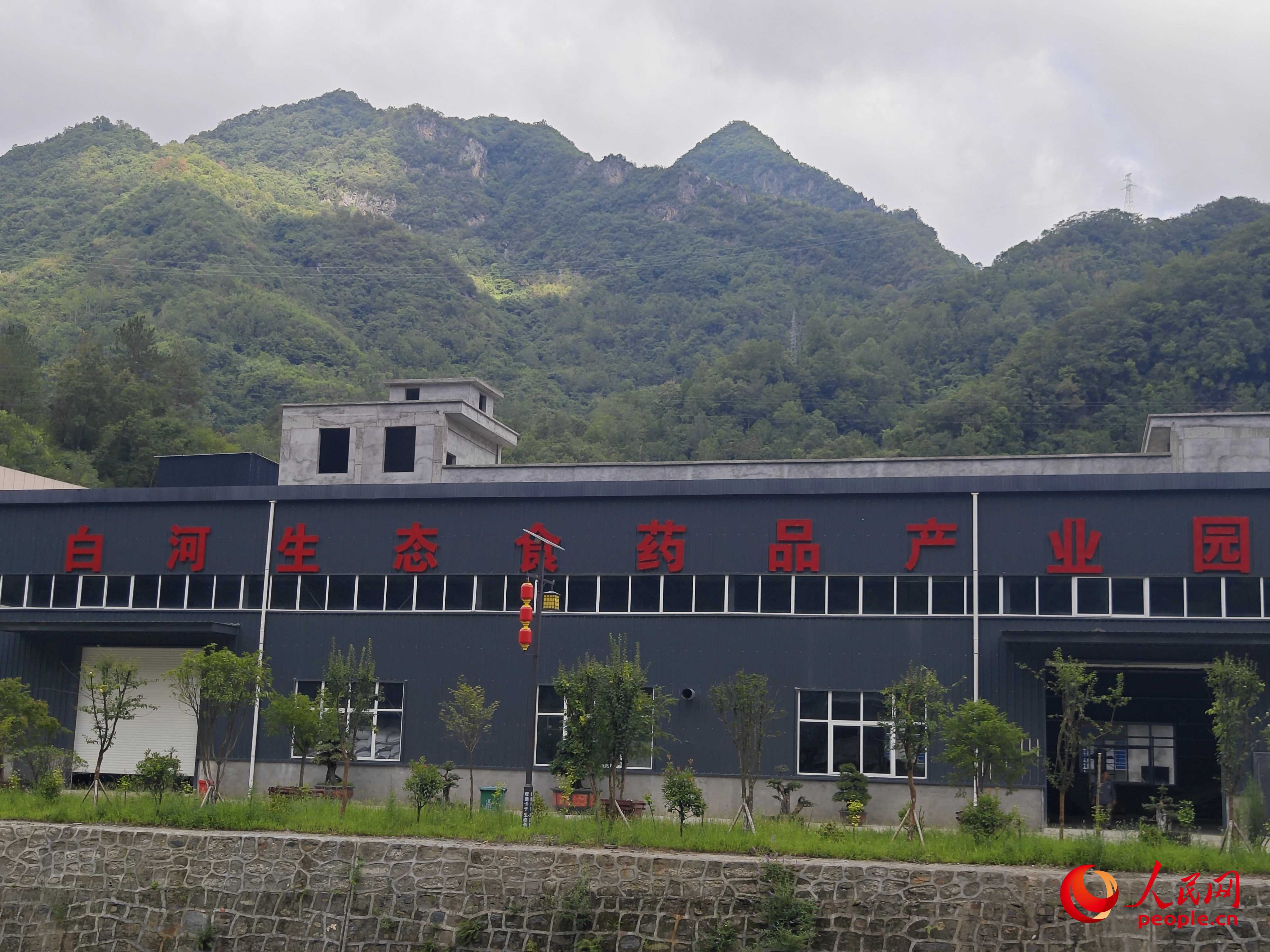 卡子鎮(zhèn)新建的社區(qū)工廠。人民網(wǎng)記者 黃鈺攝