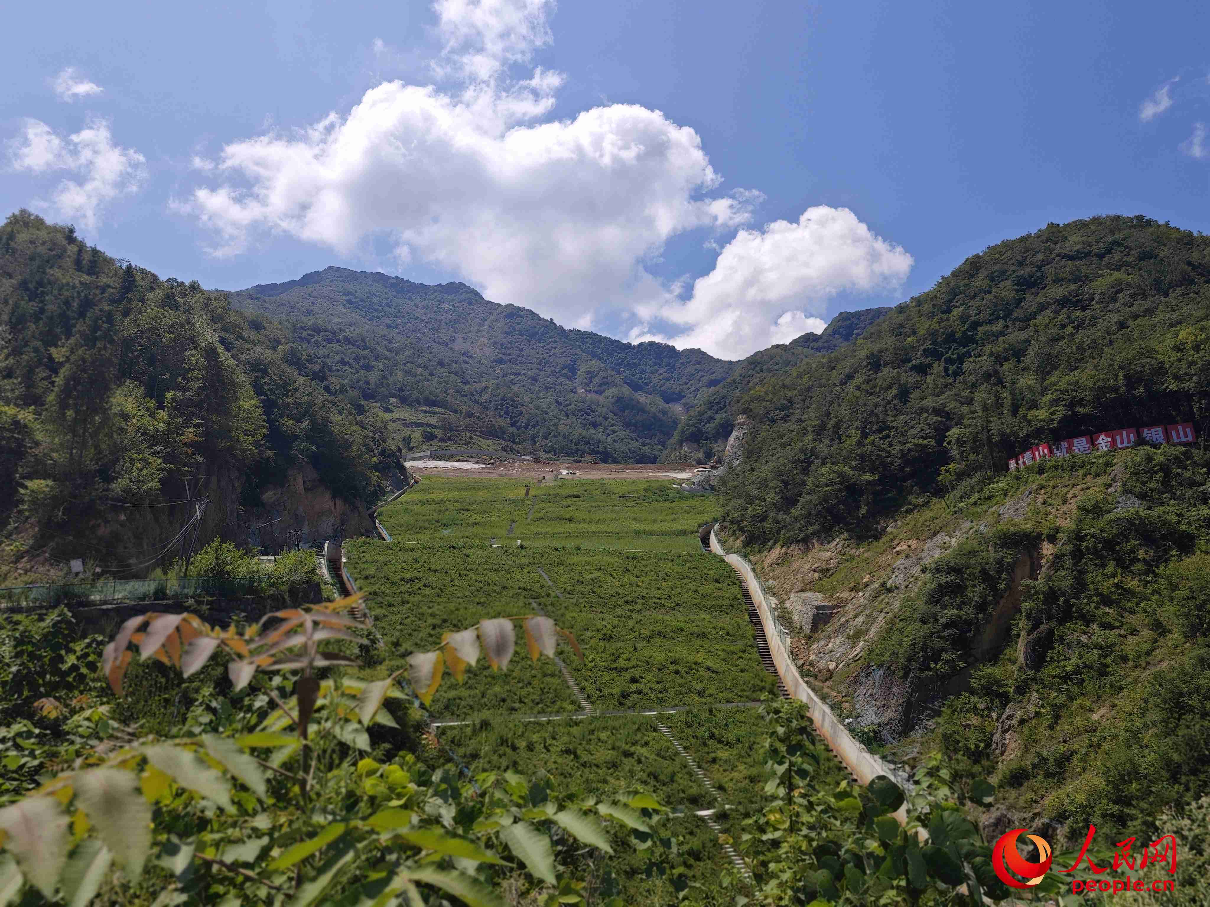 已部分復綠的貯存場。人民網(wǎng)記者 黃鈺攝