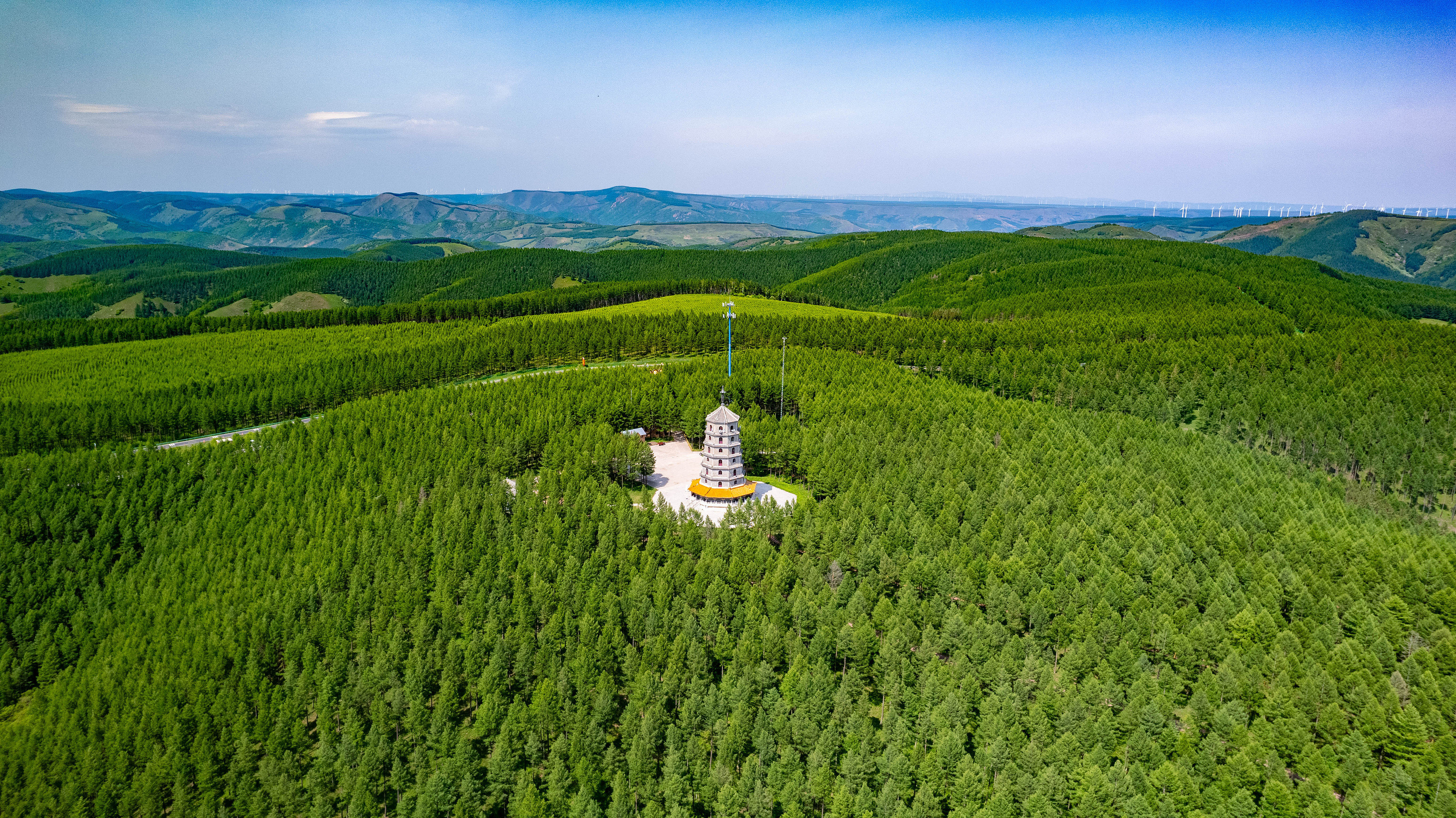 2025年6月11日，河北承德，塞罕壩林海浩渺。